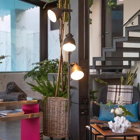 فيلة House Gallery 10